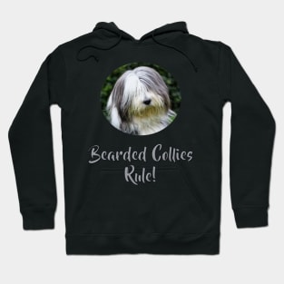 Bearded Collies Rule! Hoodie